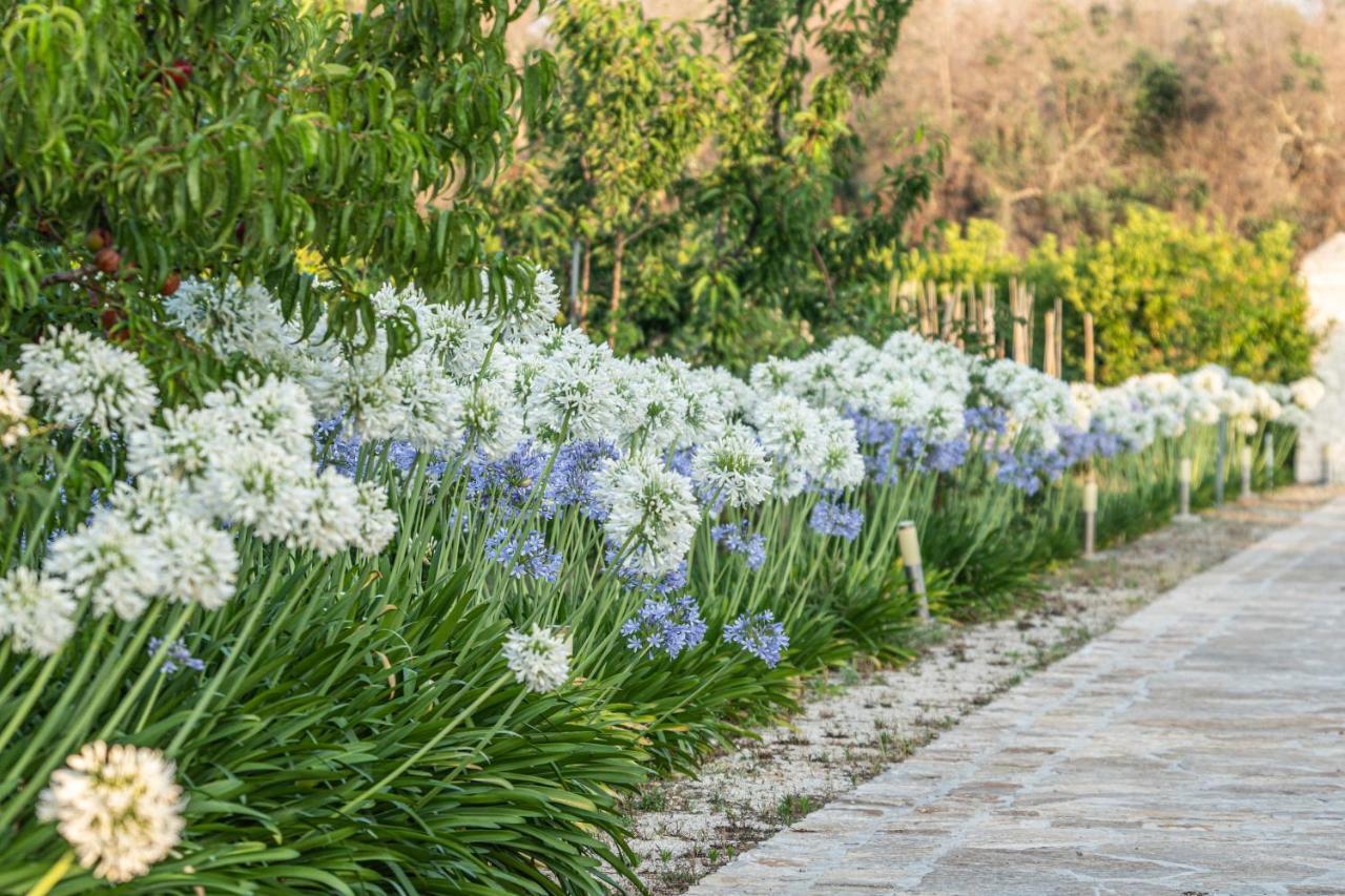 Agriturismo Panacea Santa Cesarea Terme Zewnętrze zdjęcie